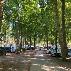 Tolle Lage im Buchenwald