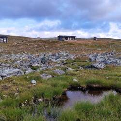 Pitsusjärvi wilderness cabin.