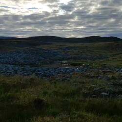 Bird singing in the morning.