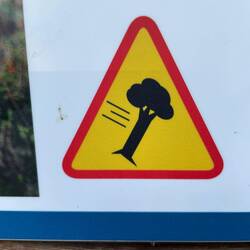 Achtung, fliegende Brokkolis!