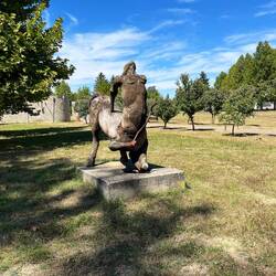 Im Teiuș Park