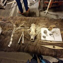 Innuit items in the museum