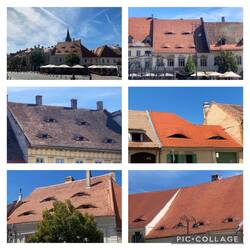 Die Fledermausgauben