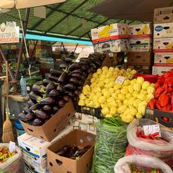 Riesige Auberginen auf dem Markt