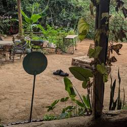 Die drü Chatze vom Hostel, vom Hund leider kes Biud