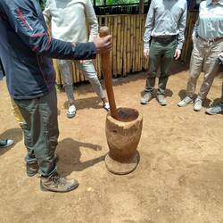 Schale vode Bohne löse