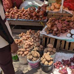 Um aues wird hie verhandlet, jedes Rüebli het si Priis