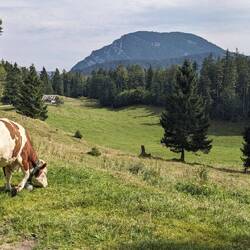 Blick auf die Reiteralm