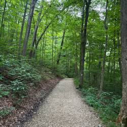 Mohican State Park Trail