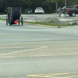 Mennonite or Amish horse and buggy