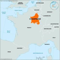 Die Region Champagne ist deutlich größer als ich gedacht habe