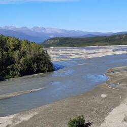 Der Tanana Tiver