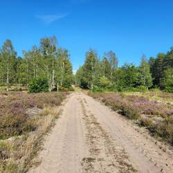 Der Rückweg ist ziemlich anstrengend, da wir oft schieben müssen.