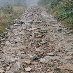 Die Buckelpiste hat mir meine ganze Energie geraubt