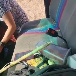 Uns so schaut's nach 50 km Dornen aus