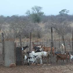 Entlang der Grenze zum Nationalpark im Nirgendwo