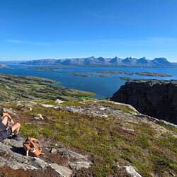 Is das nicht wunderschön🤗