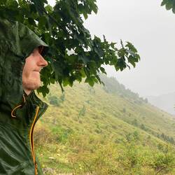 Regen op wandeling