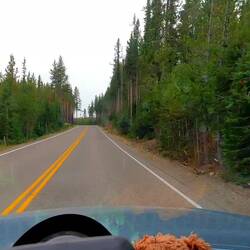 Und tschüss Yellowstone NP