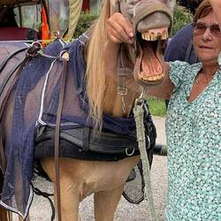 Champus Meinung zum Tag