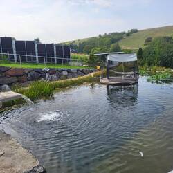 Super toller Schwimmteich