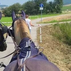 Erstmal raus machen...