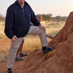 Jede Menge Termitenhügel.