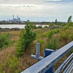 Da hinten hinter dem See wartet das Womo