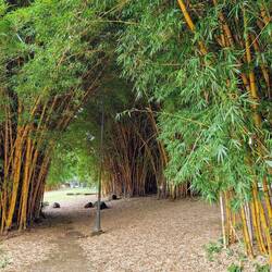 Parque Metropolitano La Sabana