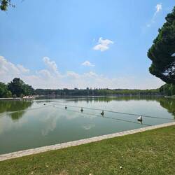 Lago de la Casa de Campo