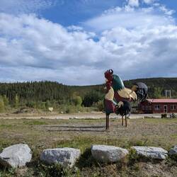 In Chicken hätte ich umsonst übernachten können aber es war noch zu früh.