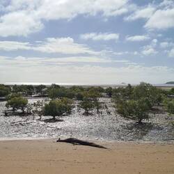 Saint Helens Beach am Tag