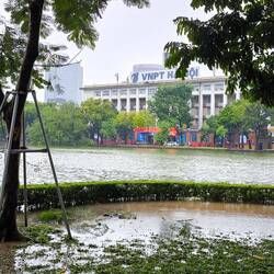 Überflutung im Park 🌳