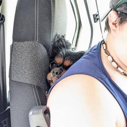 Scheint für Quincy echt gemütlich zu sein