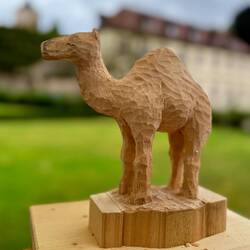Das Klosterkamel von Barbara