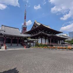 Der Tempel mit Tokio Tower im Hintergrund