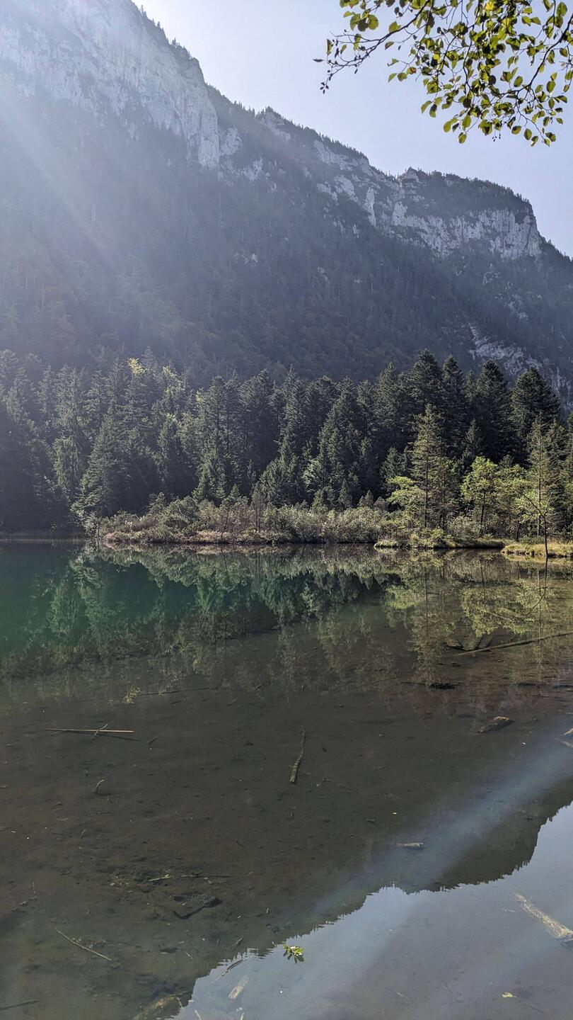 Falkensee