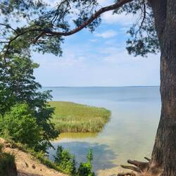 Aussicht auf den See "Śniardwy".