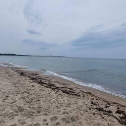 Endlich wieder die Ostsee - leider ohne Seehunde