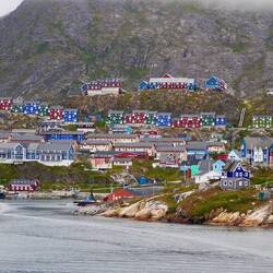 farbenfrohes Leben im Süden der Arktis