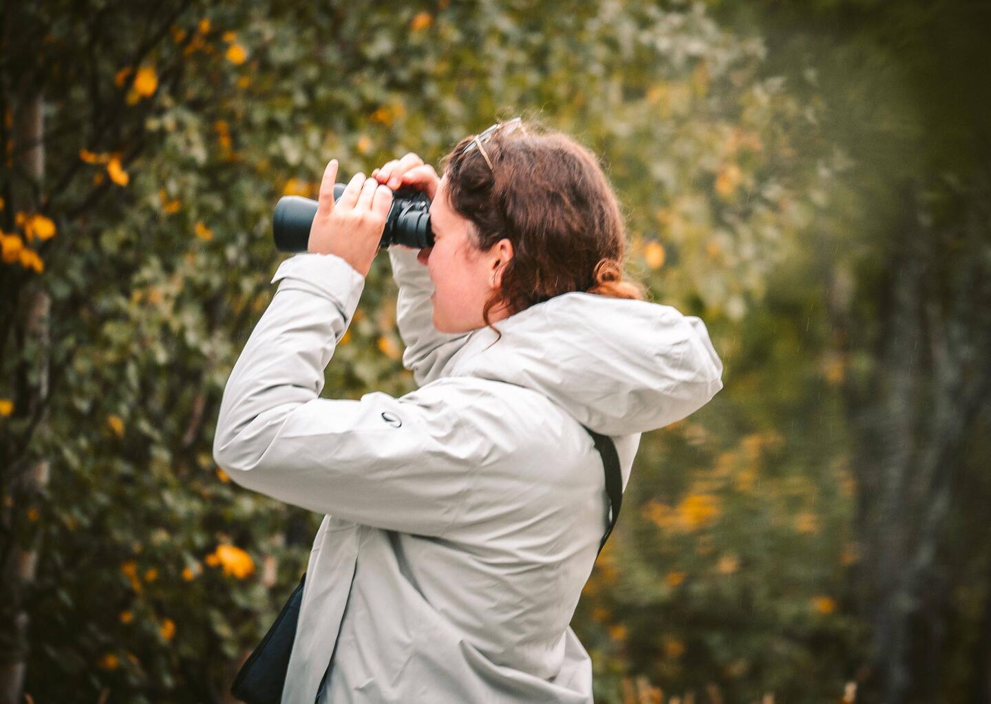 Auf der Suche nach Elchen - bisher noch ohne Erfolg