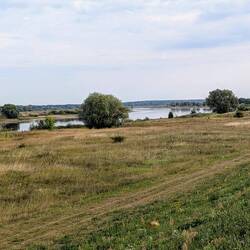 Ein letzter Blick auf die Elbe