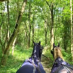 Ein toller Weg - nur leider nicht für unser Gespann...