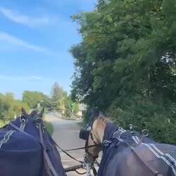 Die Brücke über die Triesting