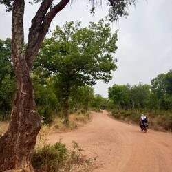 Wegfarbe wechselt von gelb auf rot.