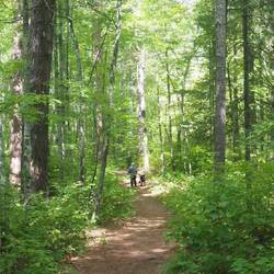 Jill and Indy in the Lost 40