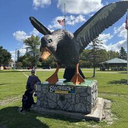 The world's largest Black Duck