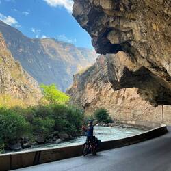 Life is beautiful... and fragile