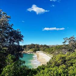 Shark Beach