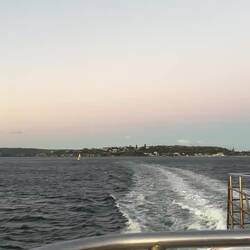 Zoveel groen aan de overkant ook! Terwijl heel North Syndey daar nog achter ligt